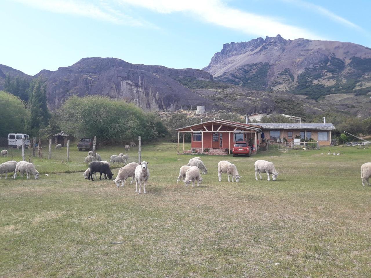 Hospedaje El Juncal Puerto Ingeniero Ibanez المظهر الخارجي الصورة